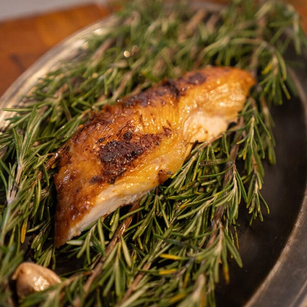 Blanc de poulet