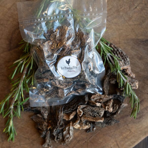 Morilles